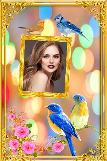Love Bird Photo Frames screenshot 1