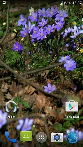 Forest flowers Video Wallpaper screenshot 3