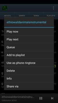 MP3 Player Pro screenshot 5