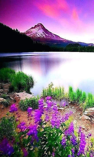 Nature Wallpaper HD screenshot 8