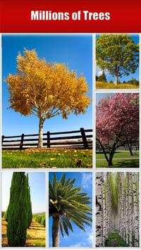 Trees - HD Wallpapers screenshot 6