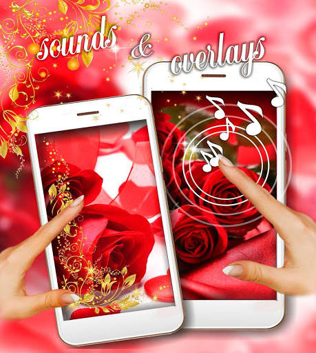 Love Roses Theme live wallpapar screenshot 2