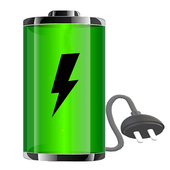 Schnellladung 2021 Akkulaufzeit icon