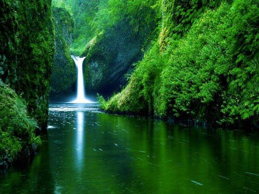 Nature Live Wallpaper screenshot 2