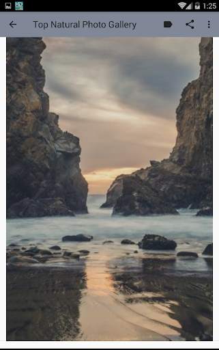 Green HD Nature Photo Wallpaper screenshot 5