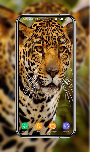 New Cheetah Wallpapers screenshot 6