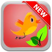Fopy Bird Pro 1.0