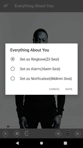 Dr Dre Best Music(Offline) & Ringstones screenshot 5