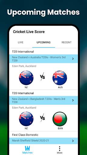 Live Cricket Score screenshot 5