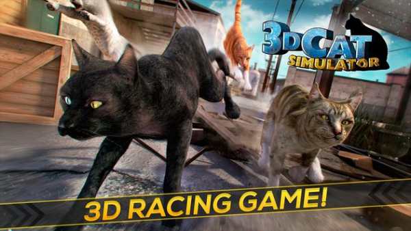 3D Cat Simulator Game For Free screenshot 9