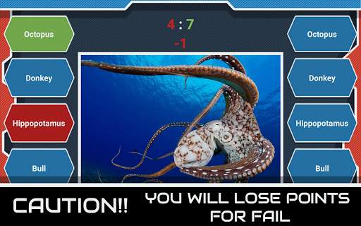 Animal Quiz - 2 Players screenshot 7