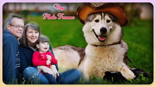 Dog Photo Frame 4 تصوير الشاشة