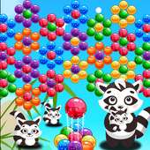 Bubble Panda Raccoon Rescue Pop