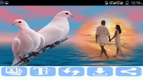 Romantic Nature Photo Frame स्क्रीनशॉट 3