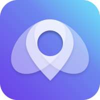 Link ACE VPN logo