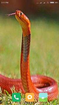 HD Snake Wallpapers screenshot 1