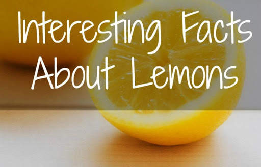 Lemons Uses and Benefits 2 تصوير الشاشة