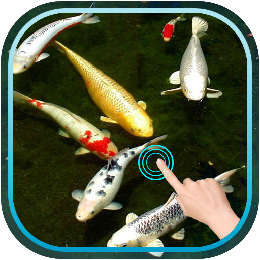 Magic Touch Koi Fish أيقونة