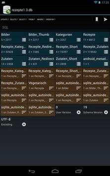 SQLite Debugger screenshot 7