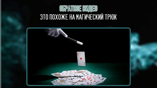 Reverse Video скриншот 4