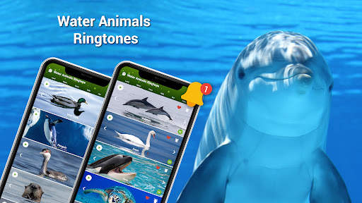 Animal Ringtones - Birds Sound screenshot 3