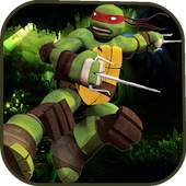 Turtle temple ninja 1.1