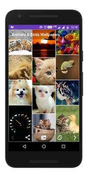 Animals & Birds - Wallpapers screenshot 2
