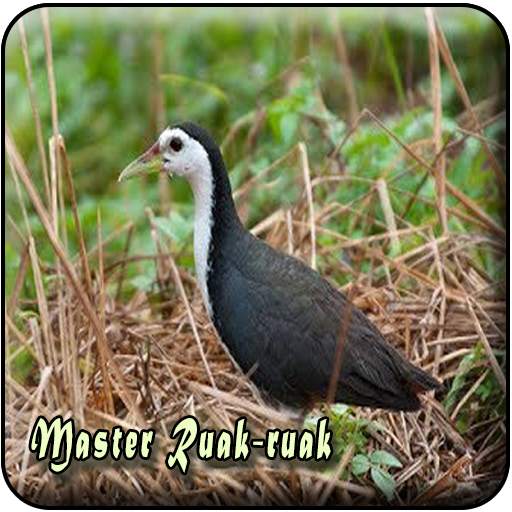 Suara Pikat Ruak Ruak MP3 1.0.0