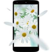 Flowers 3D Live Wallpaper 1.0.6