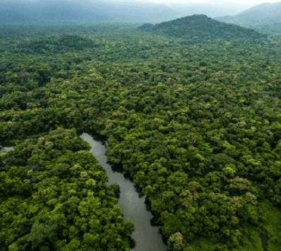 Amazon Rainforest The Best screenshot 2