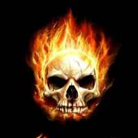 Skull Wallpapers icon