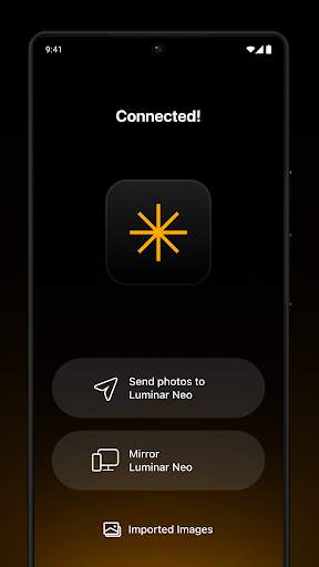 Share with Luminar Neo screenshot 4