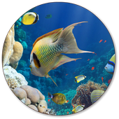 Fish Wallpapers icon