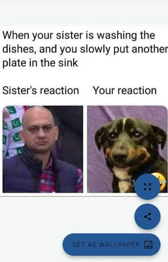Funny Memes & Jokes Quotes screenshot 3