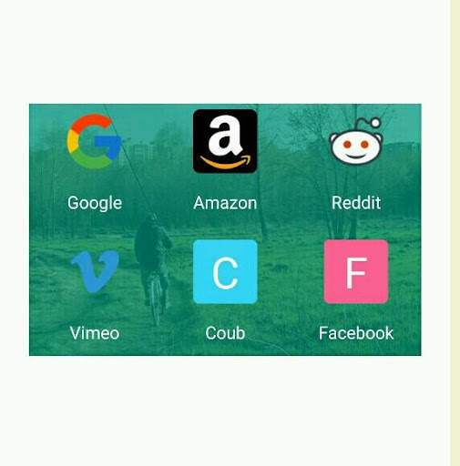 Turtle Browser screenshot 1