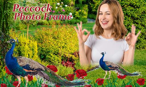 Peacock Photo Frames 5 تصوير الشاشة