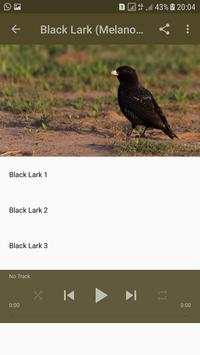 Black Lark Bird Sounds HQ screenshot 3