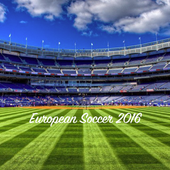 Soccer 2016 theme icon