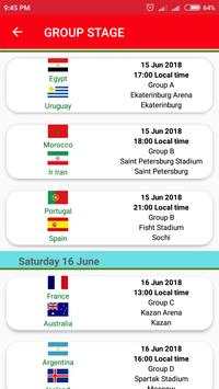 FIFA WORLD CUP 2018 screenshot 4