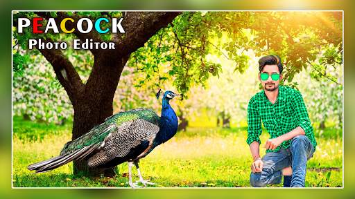 Jeweled Peacock Photo Frame screenshot 2