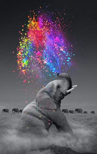 Elephant Wallpaper 3 تصوير الشاشة