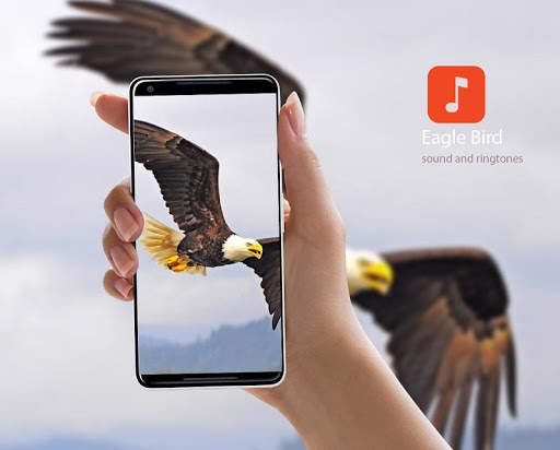 Eagle Bird Sound Effects screenshot 1
