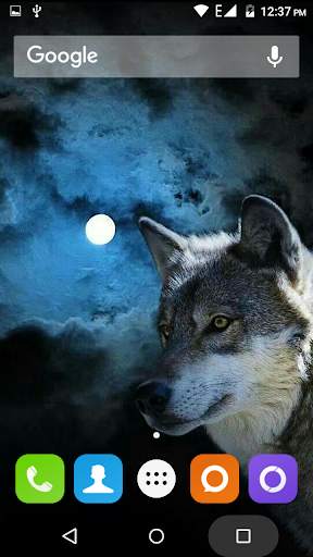 Wolf Hd Wallpaper 1 تصوير الشاشة