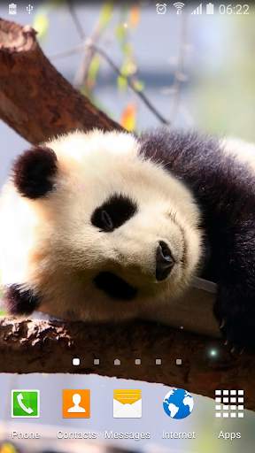 Cute Animals Live Wallpaper screenshot 4
