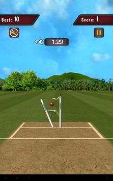 Flick Cricket 3D T20 World Cup screenshot 8