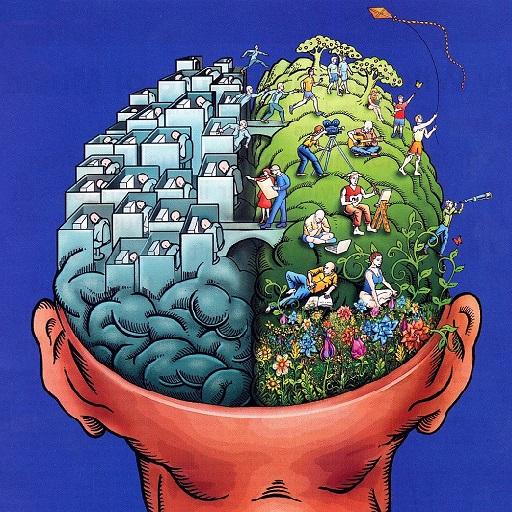 IQ Test Pro icon