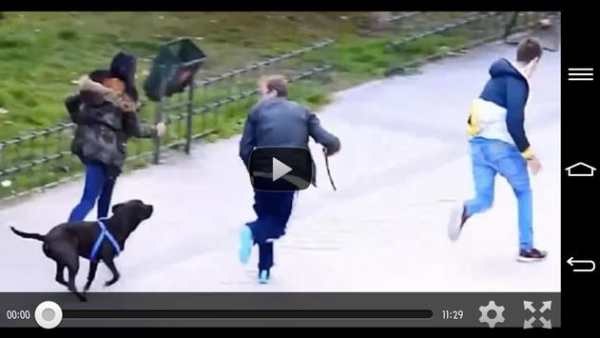 Funny Videos / Clips screenshot 3