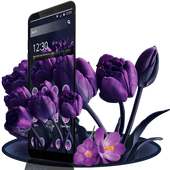 Purple Tulip Flower Theme on 9Apps
