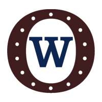 OLD WEST CAMERI icon