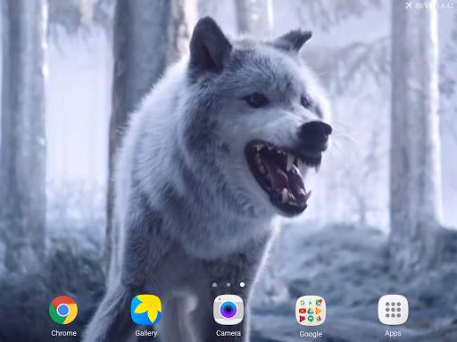 Wolf Video Live Wallpaper screenshot 8